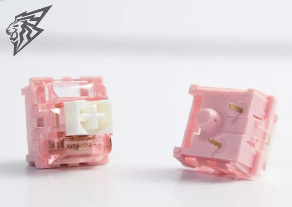 Aflion Iceberg - CLS Tech | Aflion