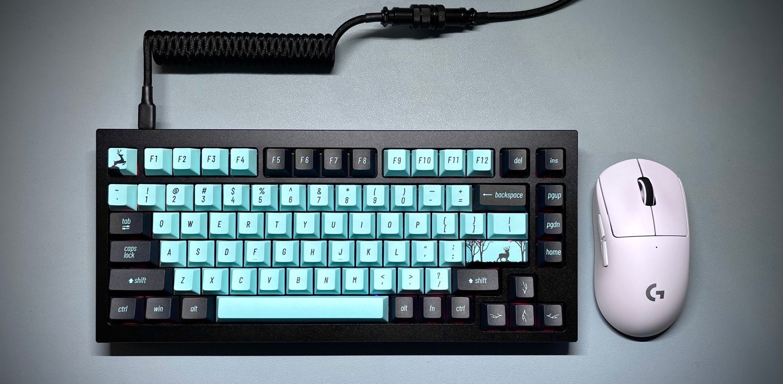 Keychron Q1 Forest Custom Keyboard - CLS Tech | CLS Tech