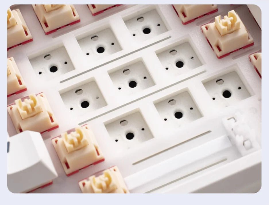 Royal Kludge RK R75 Mechanical Keyboard [ETA Feb 10, 2024] - CLS Tech | Royal Kludge